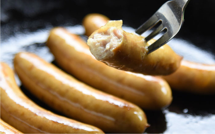 ほんまのありがとウィンナー 計36本（6本×6袋） / 加工肉 / 佐賀県 / 本間農園 [41AJAA010]