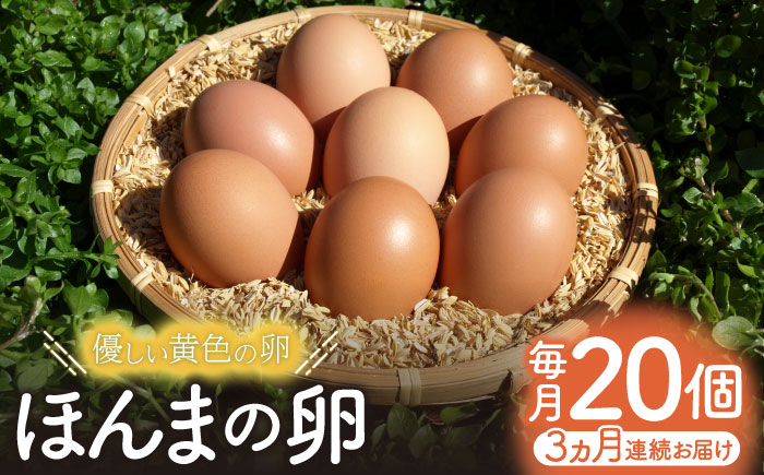 【全3回定期便】平飼いニワトリの有精卵！ほんまの卵定期便 計60個（20個×3回） / たまご / 佐賀県 / 本間農園 [41AJAA019]