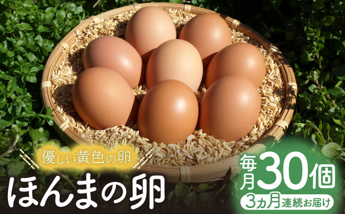 【全3回定期便】平飼いニワトリの有精卵！ほんまの卵定期便 計90個（30個×3回） / たまご / 佐賀県 / 本間農園 [41AJAA020]