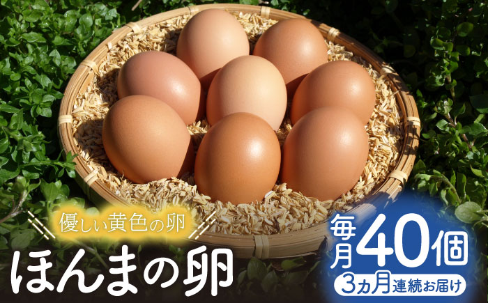【全3回定期便】平飼いニワトリの有精卵！ほんまの卵定期便 計120個（40個×3回） / たまご / 佐賀県 / 本間農園 [41AJAA021]