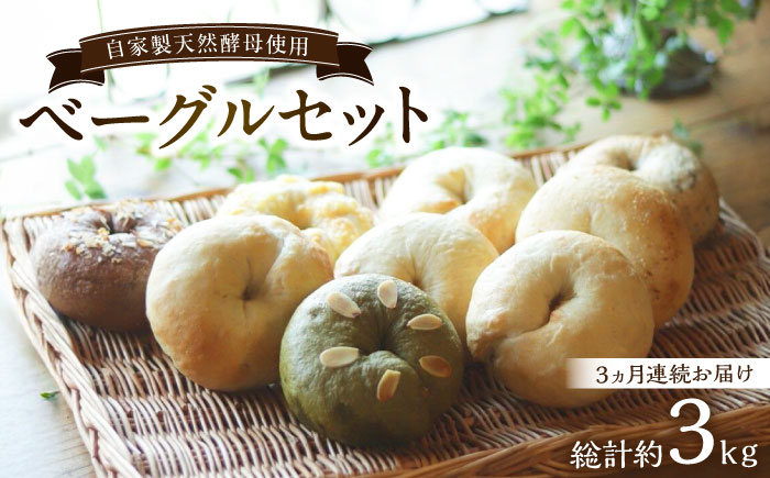 【全3回定期便】自家製天然酵母のベーグルセット 計約3kg（約1kg×3回） / 佐賀県 / パンと器のコネル [41AJAB004]