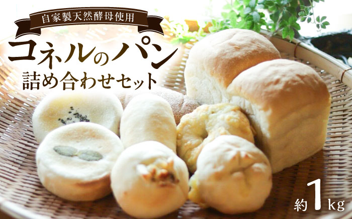 自家製天然酵母パンの詰め合わせセット 計約1kg / 食べ比べ / 佐賀県 / パンと器のコネル [41AJAB006]