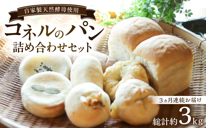 【全3回定期便】自家製天然酵母パンの詰め合わせセット 計約3kg（約1kg×3回） / 佐賀県 / パンと器のコネル [41AJAB007]