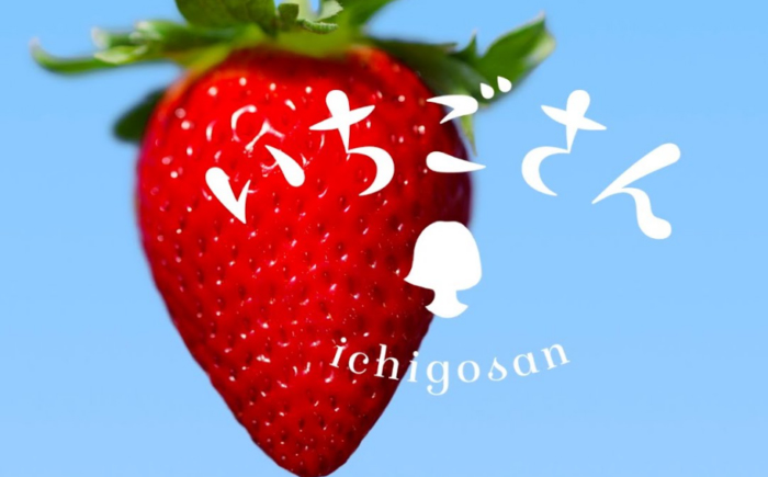 【2026年発送分 先行予約】いちごさん4パック / フルーツ / 佐賀県 / 一般社団法人龍乃 [41ANAC001]