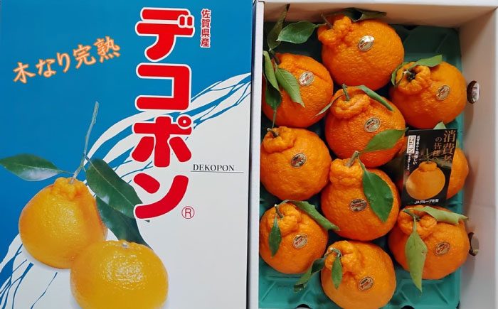 【2026年発送分 先行予約】木なり完熟デコポン 3kg（150ケース限定） / みかん / 佐賀県 / 一般社団法人龍乃 [41ANAC011]