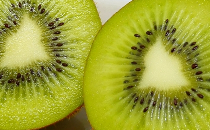 【2026年発送分 先行予約】キウイフルーツ3.6kg / 果物 / 佐賀県 / 一般社団法人龍乃 [41ANAC012]