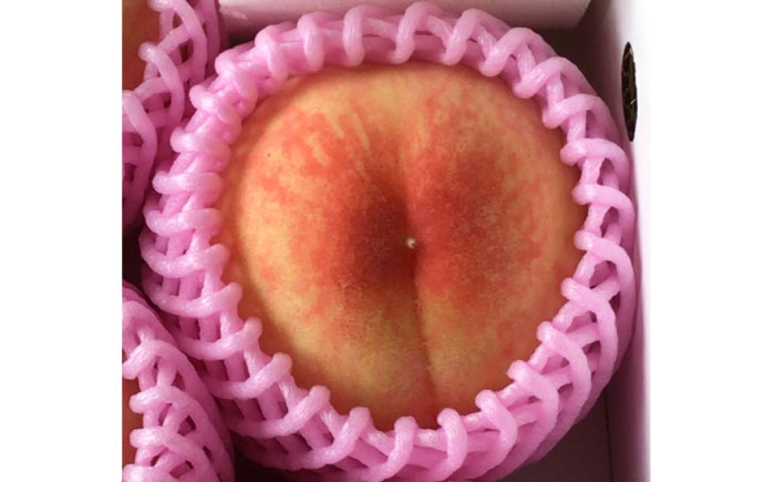 【先行予約】ハウス桃（約1kg） / もも フルーツ / 佐賀県 / 一般社団法人龍乃 [41ANAC014]