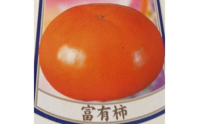 柿（富有柿）7kg / フルーツ / 佐賀県 / 一般社団法人龍乃 [41ANAC017]