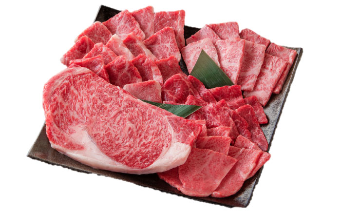 佐賀県産牛 焼肉セット550g（5種） / 牛肉 / 佐賀県 / 一般社団法人龍乃 [41ANAC091]