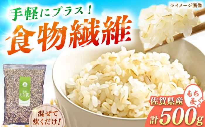 佐賀県産 もち麦500g / 佐賀県 / 一般社団法人龍乃 [41ANAC105]