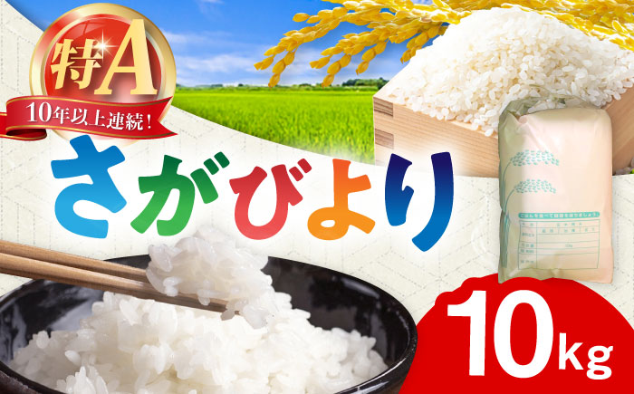 令和7年産 さがびより 白米 10kg / お米 白米 精米 / 佐賀県 / 一般社団法人龍乃 [41ANAC107]