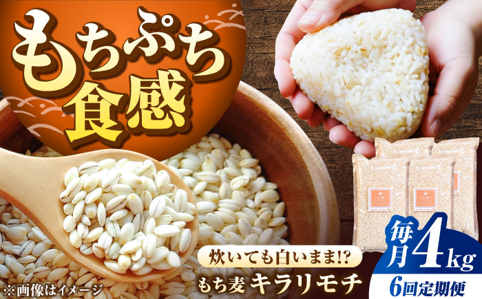 【全6回定期便】もち麦 キラリモチ 4kg（1kg×4袋）/ 雑穀 雑穀米 / 佐賀県 / 大塚米穀店 [41ANAD010]