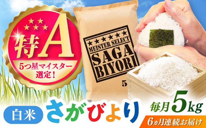 【全6回定期便】さがびより 白米 5kg / 五つ星お米マイスター厳選 特A 精米 / 佐賀県 / 大塚米穀店 [41ANAD013]