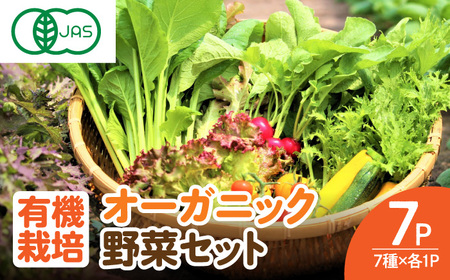 サガンベジオーガニックサラダミニセット 7種×1パック 有機JAS / 野菜 / 佐賀県 / 株式会社サガンベジ [41ANCH001]