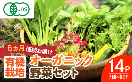 【全6回定期便】オーガニック葉物野菜セット 7種×2パック 有機JAS / 佐賀県 / 株式会社サガンベジ [41ANCH006]