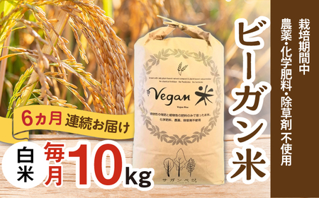 【全6回定期便】ビーガン米 白米 計60kg（10kg×6回） / 佐賀県 / 株式会社サガンベジ [41ANCH008]