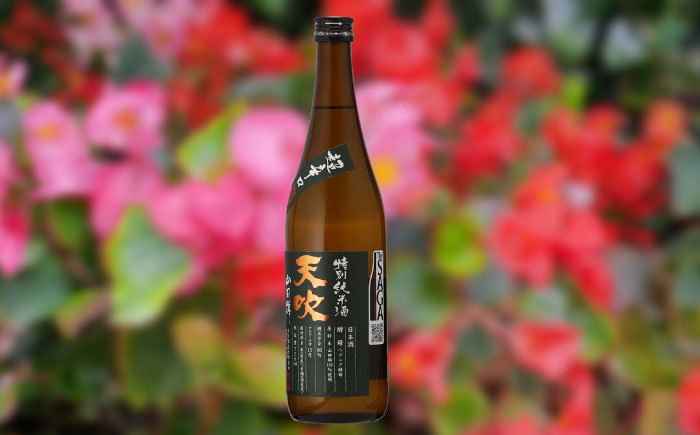 天吹 超辛口特別純米酒 720ml×1本 / 日本酒 / 佐賀県 / 天吹酒造合資会社 [41ANCX004]