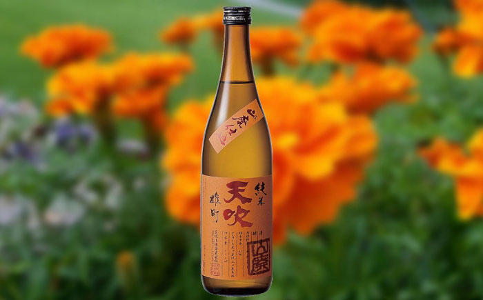 天吹 山廃純米 雄町 720ml×1本 / 日本酒 / 佐賀県 / 天吹酒造合資会社 [41ANCX005]
