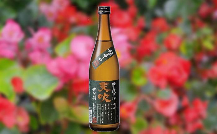 天吹 超辛口特別純米 生・火入れ 飲み比べ 各720ml×1本 / 日本酒 / 佐賀県 / 天吹酒造合資会社 [41ANCX014]