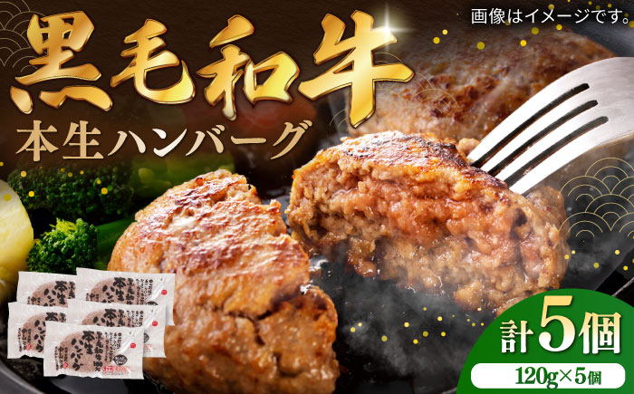 国産黒毛和牛本生ハンバーグ 計600g（120g×5個）/ 簡単調理 加工肉 / 佐賀県 / 株式会社中山牧場 [41AOCW004]
