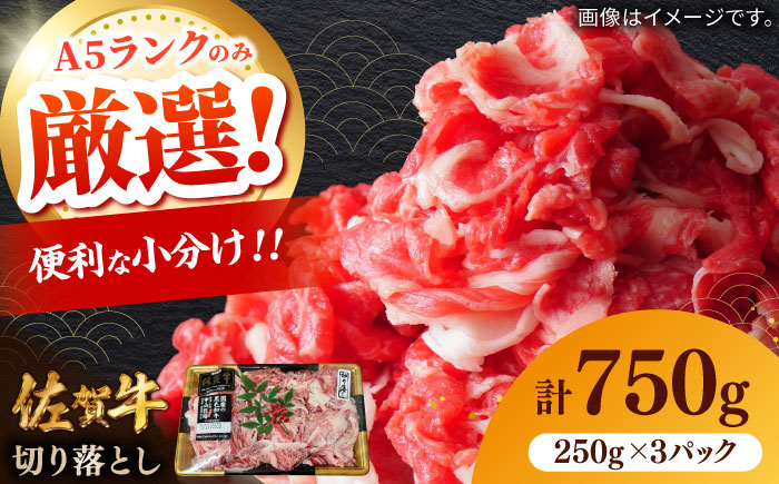 佐賀牛切り落とし 計750g（250g×3パック） / 牛肉 / 佐賀県 / 株式会社中山牧場 [41AOCW018]