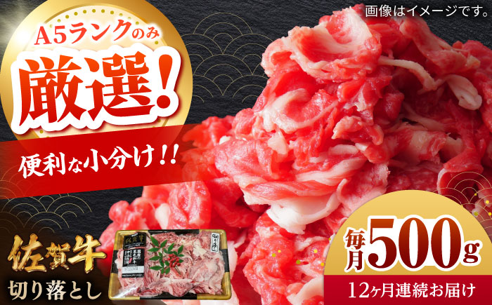 【全12回定期便】佐賀牛切り落とし 計6kg（500g×12回）/ 牛肉 / 佐賀県 / 株式会社中山牧場 [41AOCW022]