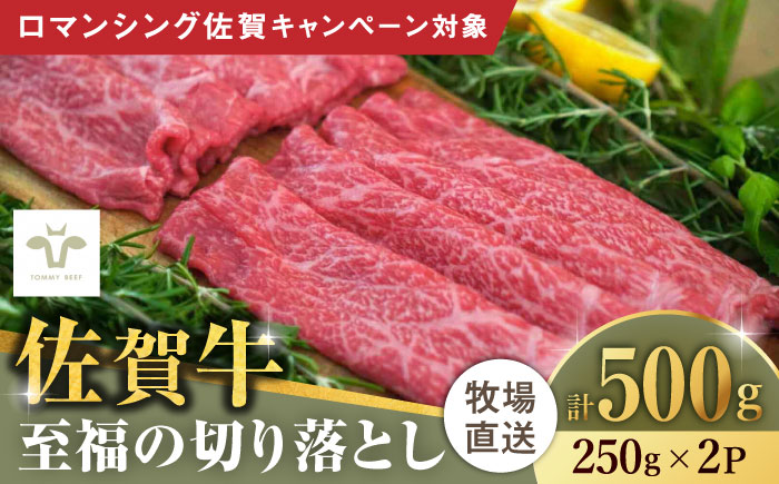 【ロマ佐賀】佐賀牛切り落とし 計500g（250g×2袋）/ 牛肉 / 佐賀県 / 有限会社佐賀セントラル牧場 [41ASAA017]