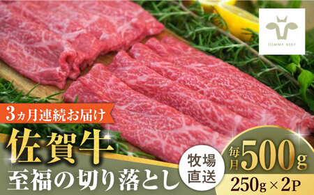 【ロマ佐賀】【全3回定期便】佐賀牛至福の切り落とし 計1.5kg（250g×2袋×3回）/ 牛肉 / 佐賀県 / 有限会社佐賀セントラル牧場 [41ASAA018]