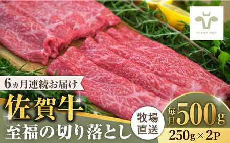 【ロマ佐賀】【全6回定期便】佐賀牛至福の切り落とし 計3kg（250g×2袋×6回）/ 牛肉  / 佐賀県 / 有限会社佐賀セントラル牧場 [41ASAA019]