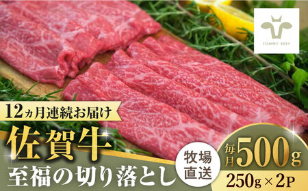 【ロマ佐賀】【全12回定期便】佐賀牛至福の切り落とし 計6kg（250g×2袋×12回）/ 牛肉 / 佐賀県 / 有限会社佐賀セントラル牧場 [41ASAA020]