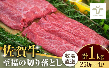 【ロマ佐賀】佐賀牛切り落とし 計1kg（250g×4袋）/ 牛肉 / 佐賀県 / 有限会社佐賀セントラル牧場 [41ASAA021]