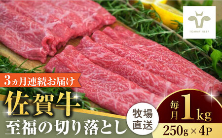 【ロマ佐賀】【全3回定期便】佐賀牛至福の切り落とし 計3kg（250g×4袋×3回） / 牛肉 / 佐賀県 / 有限会社佐賀セントラル牧場 [41ASAA022]