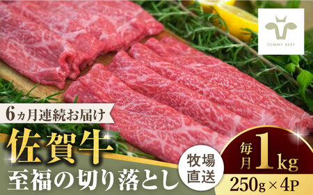 【ロマ佐賀】【全6回定期便】佐賀牛至福の切り落とし 計6kg（250g×4袋×6回）/ 牛肉 / 佐賀県 / 有限会社佐賀セントラル牧場 [41ASAA023]