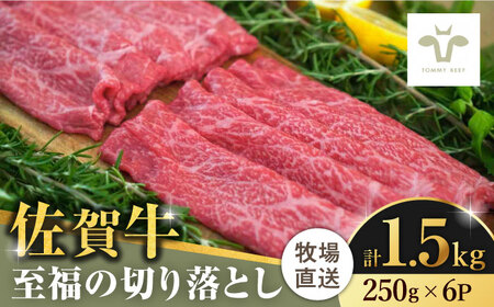 【ロマ佐賀】佐賀牛至福の切り落とし 計1.5kg（250g×6袋） / 牛肉 / 佐賀県 / 有限会社佐賀セントラル牧場 [41ASAA025]