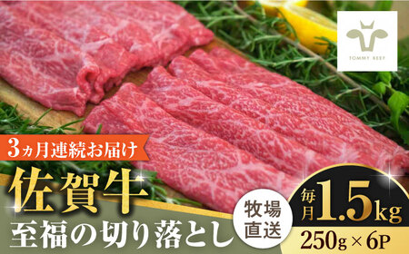 【ロマ佐賀】【全3回定期便】佐賀牛至福の切り落とし 計4.5kg（250g×6袋×3回） / 牛肉 / 佐賀県 / 有限会社佐賀セントラル牧場 [41ASAA026]