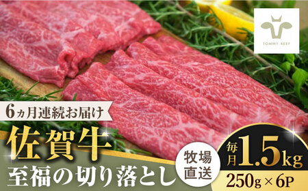 【ロマ佐賀】【全6回定期便】佐賀牛至福の切り落とし 計9kg（250g×6袋×6回） / 牛肉 / 佐賀県 / 有限会社佐賀セントラル牧場 [41ASAA027]