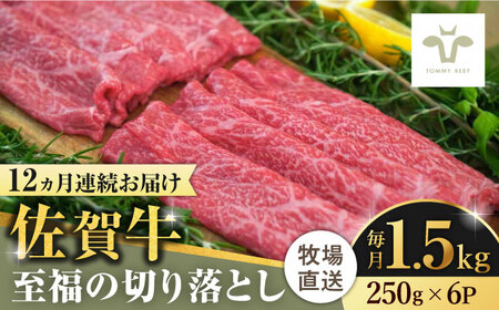 【ロマ佐賀】【全12回定期便】佐賀牛切り落とし 計18kg（250g×6袋×12回）/ 牛肉 / 佐賀県 / 有限会社佐賀セントラル牧場 [41ASAA028]