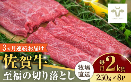 【ロマ佐賀】【全3回定期便】佐賀牛至福の切り落とし 計6kg（250g×8袋×3回） / 牛肉 / 佐賀県 / 有限会社佐賀セントラル牧場 [41ASAA030]