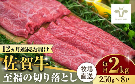 【ロマ佐賀】【全12回定期便】佐賀牛至福の切り落とし 計24kg（250g×8袋×12回） / 牛肉 / 佐賀県 / 有限会社佐賀セントラル牧場 [41ASAA032]