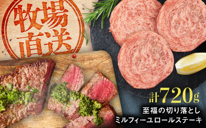 【ロマ佐賀】ミルフィーユロールステーキ4個とサーロインステーキ400g / 牛肉 / 佐賀県 / 有限会社佐賀セントラル牧場 [41ASAA109]