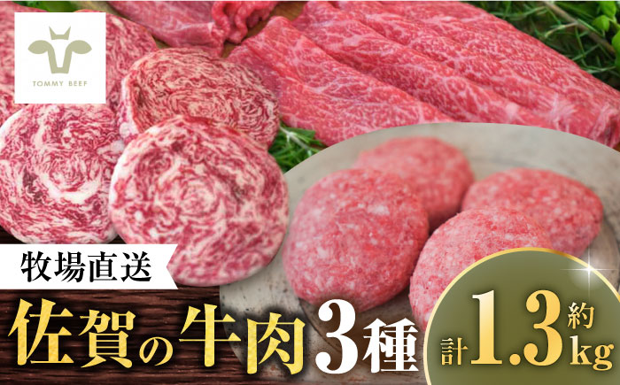 【ロマ佐賀】佐賀牛至福の切り落とし500gとハンバーグ4個とミルフィーユロールステーキ4個 / 牛肉 / 佐賀県 / 有限会社佐賀セントラル牧場 [41ASAA116]