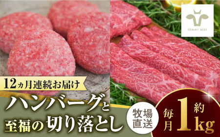 【ロマ佐賀】【全12回定期便】佐賀牛100％ハンバーグ4個と至福の切り落とし500g  / 牛肉 / 佐賀県 / 有限会社佐賀セントラル牧場 [41ASAA214]