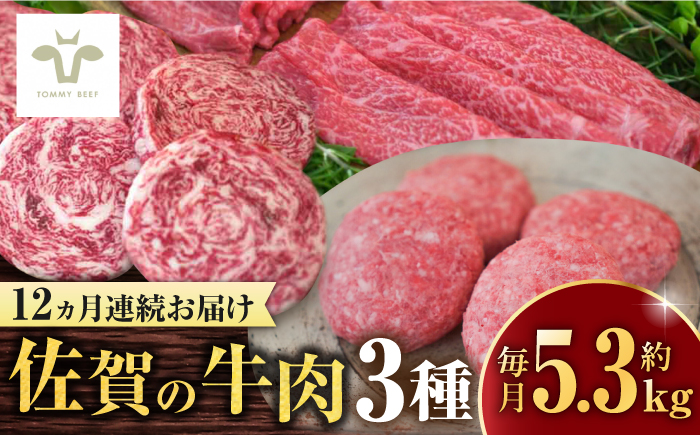 【ロマ佐賀】【全12回定期便】佐賀牛至福の切り落とし2kgとハンバーグ16個とミルフィーユロールステーキ16個 / 牛肉 / 佐賀県 / 有限会社佐賀セントラル牧場 [41ASAA292]