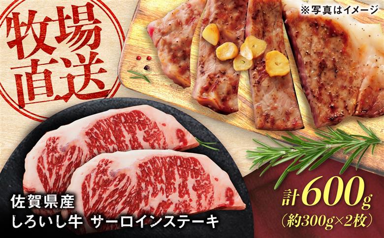 佐賀県産 しろいし牛 サーロインステーキ 600g（約300g×2枚） / 牧場直送 国産 牛肉 ステーキ サーロイン / 佐賀県 / 有限会社佐賀セントラル牧場 [41ASAA314]