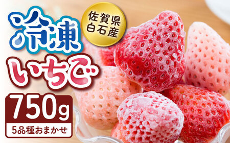 【2026年発送分 先行予約】冷凍いちご おまかせ詰め合わせ 750g / フルーツ / 佐賀県 / 岸川農園 [41ASAG002]