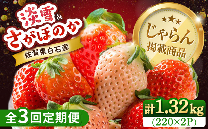 【2026年発送分 先行予約】【全3回定期便】淡雪・さがほのか 紅白いちごセット 計1.32kg （220g×2パック×3回） / フルーツ / 佐賀県 / 岸川農園 [41ASAG006]