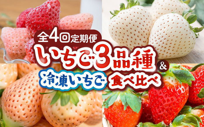 【2026年発送分 先行予約】【全4回定期便】岸川農園 超希少品種入り赤白いちご（淡雪・さがほのか・こころの色・冷凍いちご） /  佐賀県 / 岸川農園 [41ASAG008]