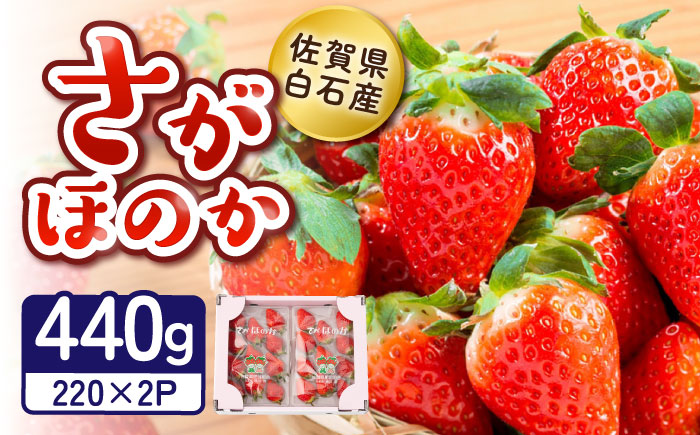 【2026年発送分 先行予約】白石産いちご「さがほのか」 220g×2パック / フルーツ / 佐賀県 / 岸川農園 [41ASAG010]