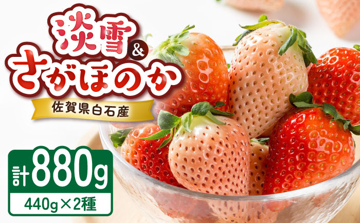 【2026年発送分 先行予約】淡雪・さがほのか 紅白いちごセット 220g×4パック / フルーツ / 佐賀県 / 岸川農園 [41ASAG011]