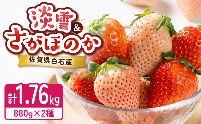 【2026年発送分 先行予約】淡雪・さがほのか 紅白いちごセット 220g×8パック / フルーツ / 佐賀県 / 岸川農園 [41ASAG012]